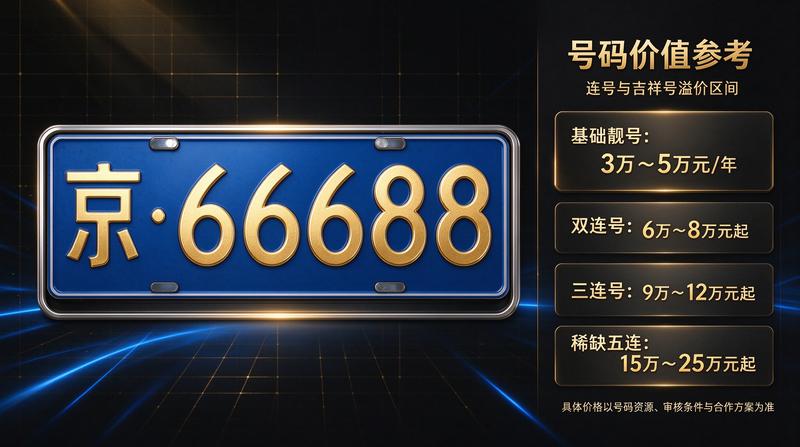 如何查询车牌指标状态
